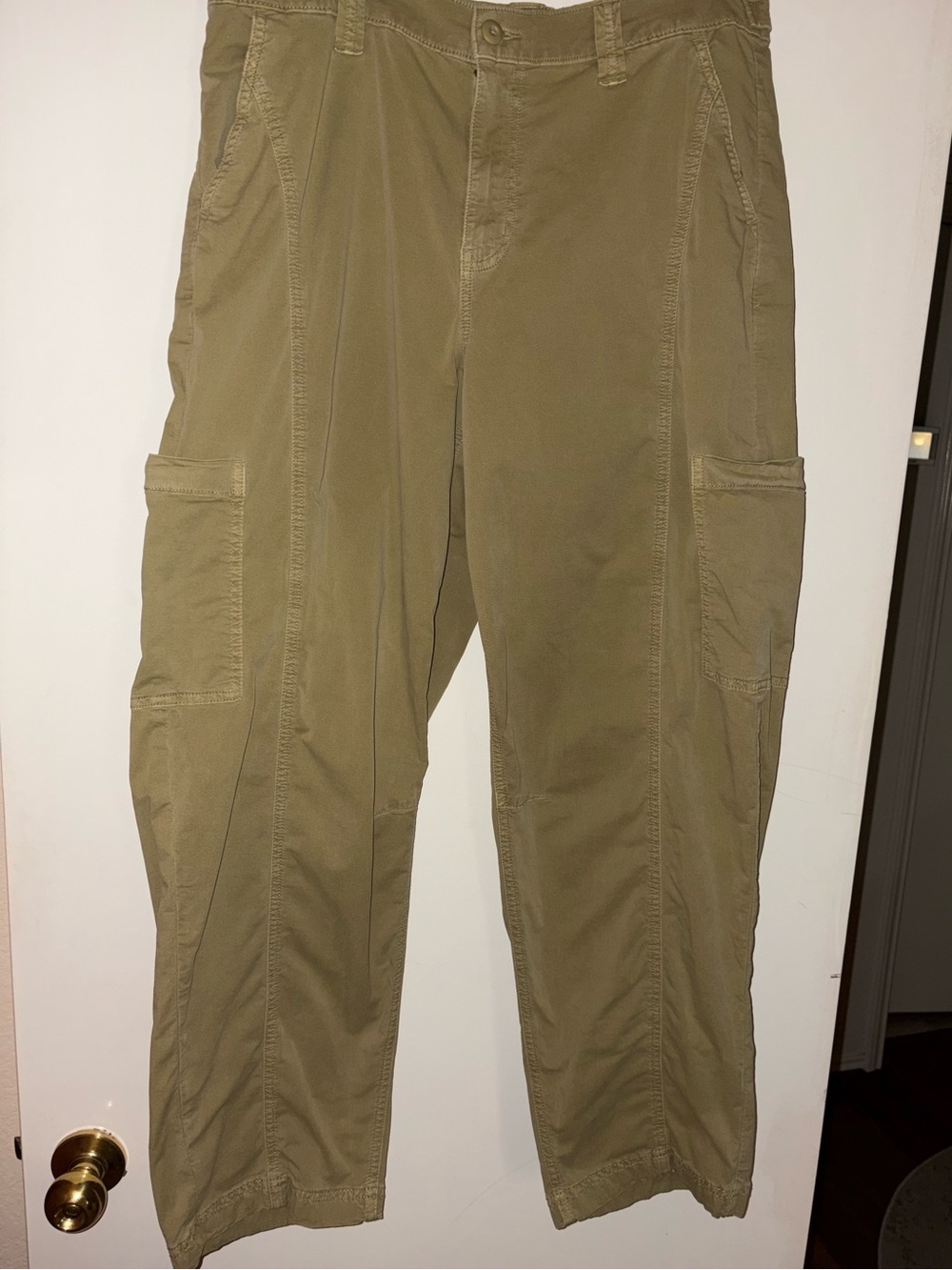 American Eagle Barrel Cargo Pants Size 10 Long
